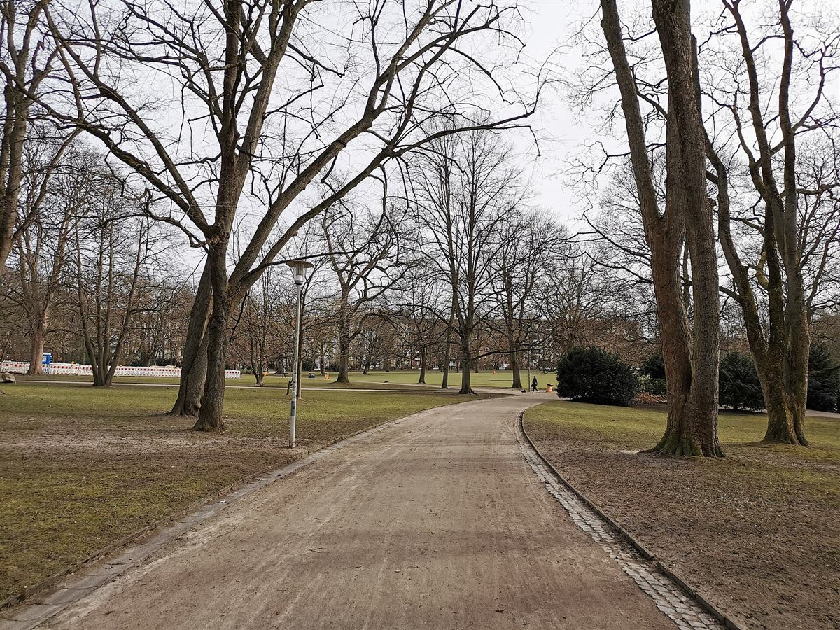 Fußweg unter alten Bäumen im Schrevenpark